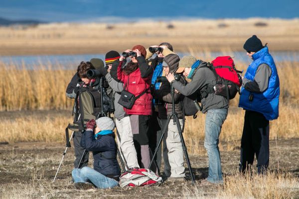 Birdwatching - Half Day