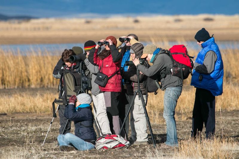 Birdwatching - Half Day