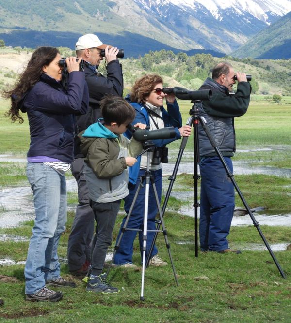 Birdwatching - Full Day