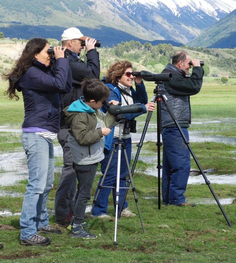 Birdwatching - Full Day