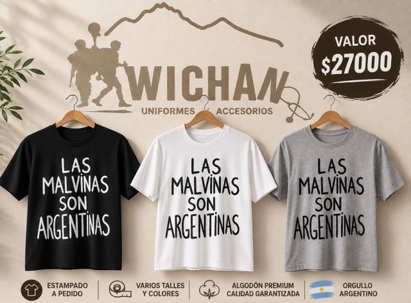 remera estampada 