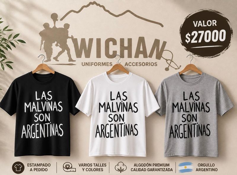 remera estampada 